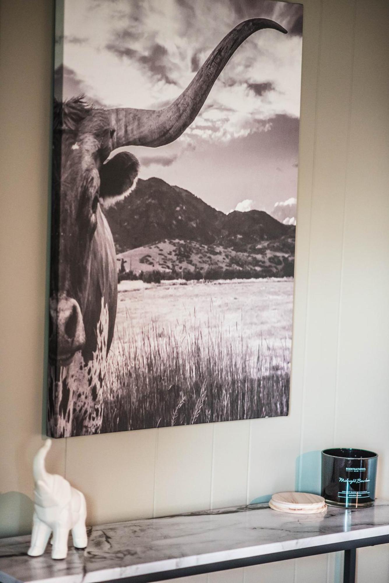 Mount Tabor Ranch Near Vt - King Bed/Fast Wi-Fi Villa Blacksburg Eksteriør billede